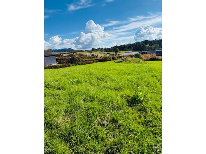 Lote en venta en Las Palmas, Medellín, 1260 m² · foto 4 de 5