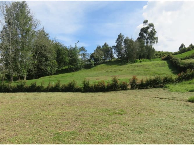 Lote en venta en El Carmen De Viboral, El Carmen de Viboral, 3400 m² · foto 5 de 8