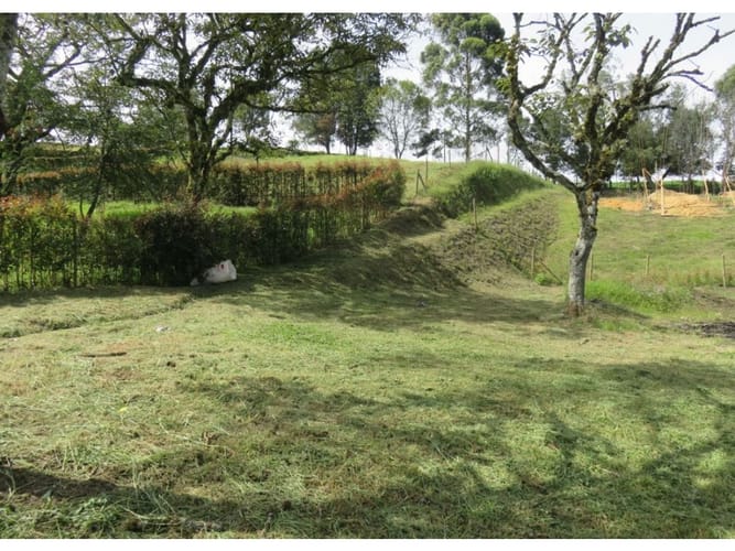 Lote en venta en El Carmen De Viboral, El Carmen de Viboral, 3400 m² · foto 6 de 8