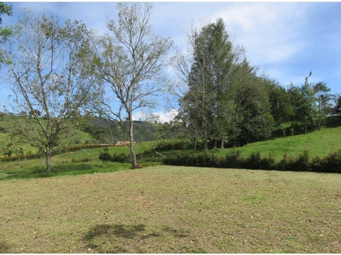 Lote en venta en El Carmen De Viboral, El Carmen de Viboral, 3400 m² · foto 7 de 8