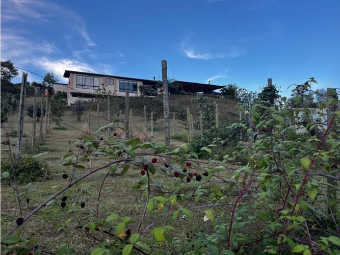 Casa de 4 alcobas en venta en El Carmen De Viboral, Rionegro, 304 m² · foto 16 de 24