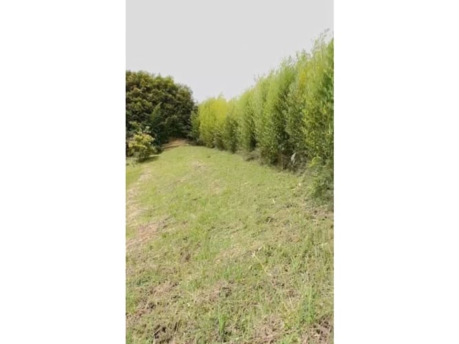 Lote en venta en La Mosquita, Guarne, 5000 m² · foto 7 de 9