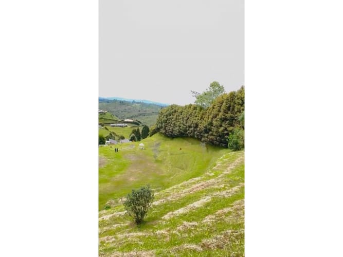Lote en venta en La Mosquita, Guarne, 5000 m² · foto 9 de 9