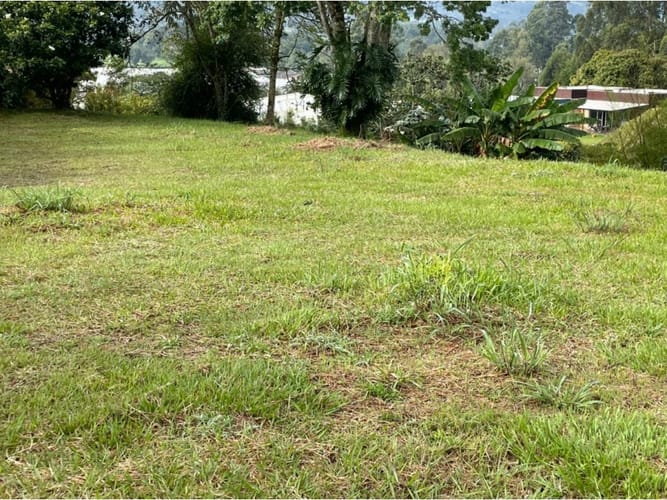 Lote en venta en Guamito, La Ceja, 3250 m² · foto 4 de 12