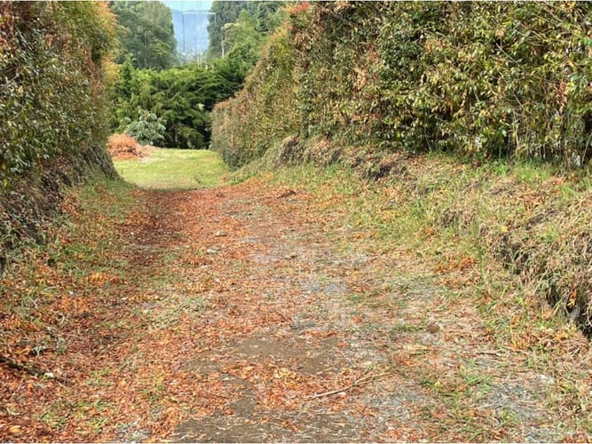 Lote en venta en Guamito, La Ceja, 3250 m² · foto 10 de 12