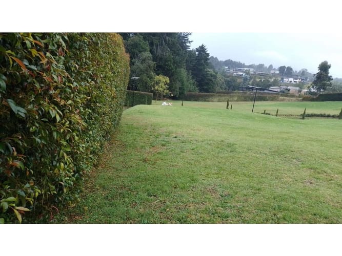 Lote en venta en Las Palmas, Envigado, 1475 m² · foto 2 de 4