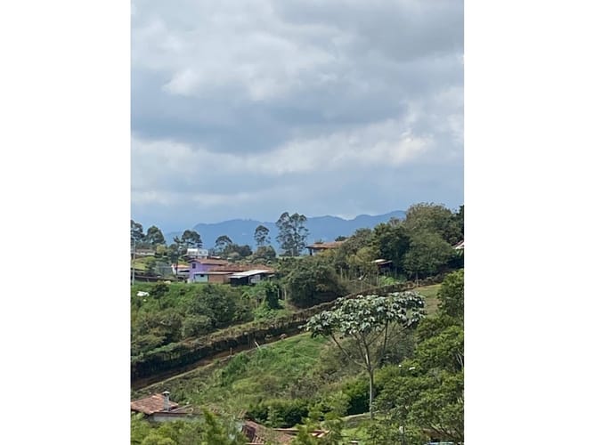 Lote en venta en La Laja, Rionegro, 8000 m² · foto 3 de 8