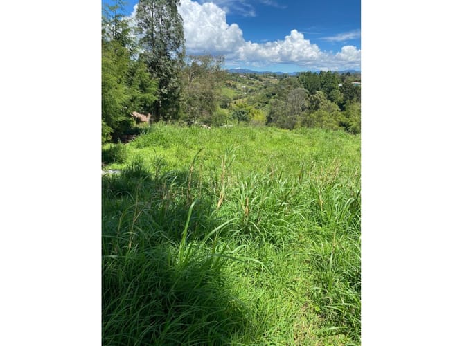 Lote en venta en La Laja, Rionegro, 8000 m² · foto 4 de 8