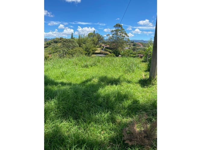 Lote en venta en La Laja, Rionegro, 8000 m² · foto 5 de 8
