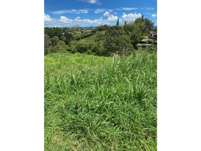 Lote en venta en La Laja, Rionegro, 8000 m² · foto 6 de 8