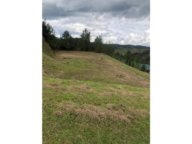 Lote en venta en El Porvenir, El Retiro, 10000 m² · foto 3 de 3