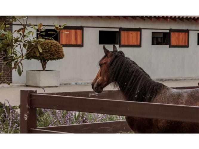 Casa de 4 alcobas en venta en Llano Grande, Rionegro, 450 m² · foto 8 de 16