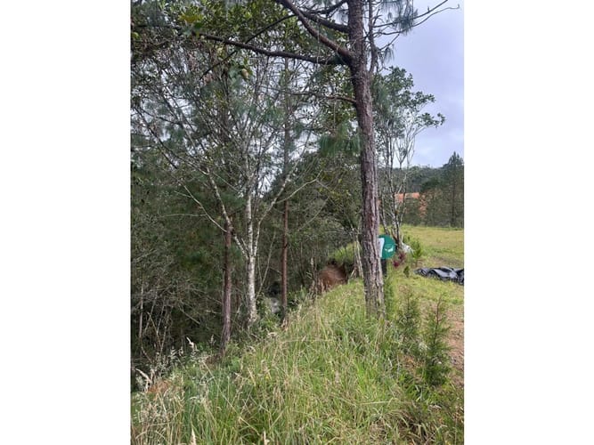 Lote en venta en El Chuscal, El Retiro, 3200 m² · foto 6 de 18