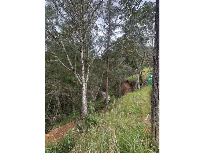 Lote en venta en El Chuscal, El Retiro, 3200 m² · foto 7 de 18