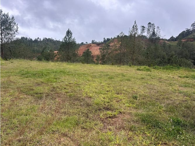 Lote en venta en El Chuscal, El Retiro, 3200 m² · foto 8 de 18