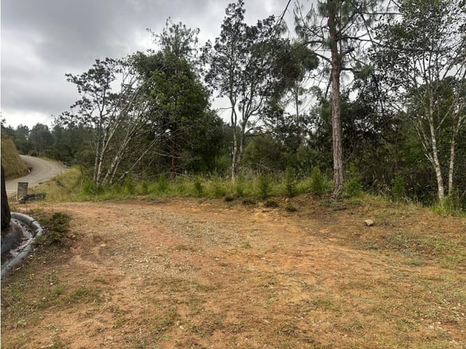 Lote en venta en El Chuscal, El Retiro, 3200 m² · foto 18 de 18