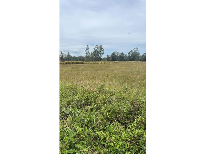 Lote en venta en Llano Grande, Rionegro, 5000 m² · foto 2 de 3