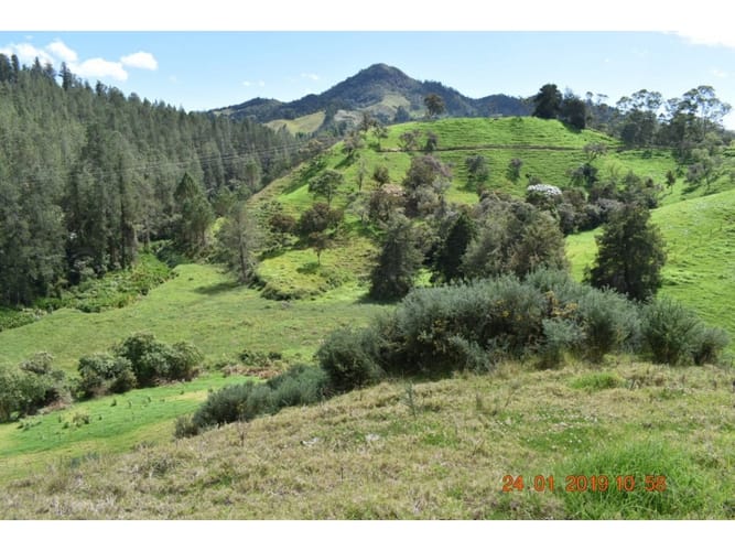 Lote en venta en El Chuscal, El Retiro, 75526 m² · foto 2 de 5