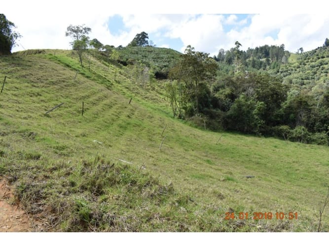 Lote en venta en El Chuscal, El Retiro, 75526 m² · foto 4 de 5