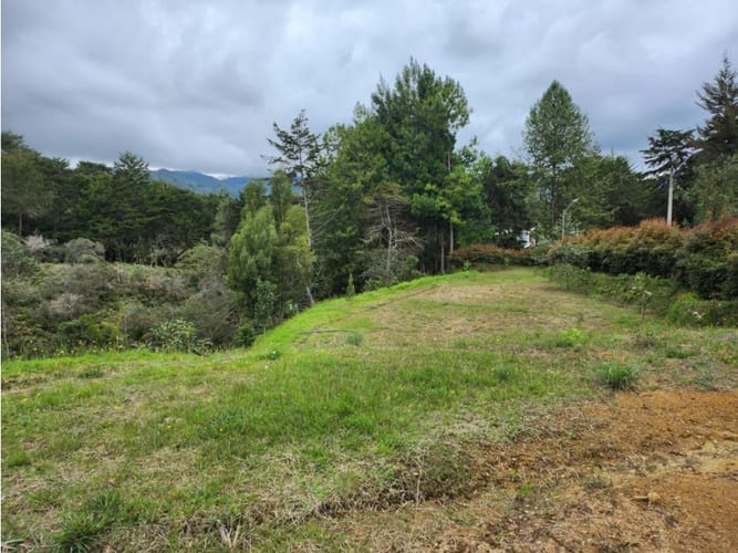 Lote en venta en Vía Las Palmas, Medellín, 3360 m² · foto 6 de 8