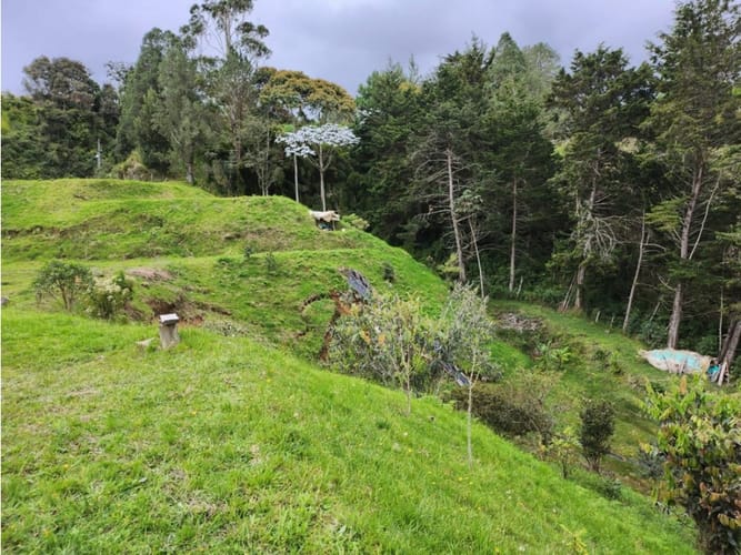 Lote en venta en Vía Las Palmas, Medellín, 3360 m² · foto 7 de 8