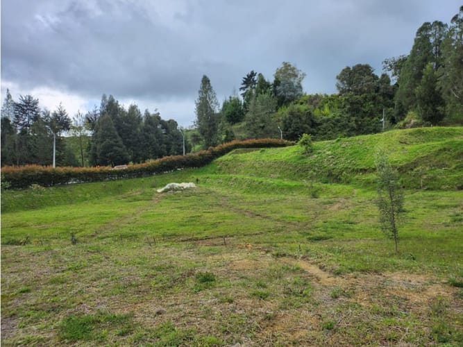 Lote en venta en Vía Las Palmas, Medellín, 3360 m² · foto 8 de 8