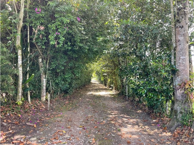 Casa de 4 alcobas en arriendo en So�Adora, Rionegro, 250 m² · foto 16 de 17