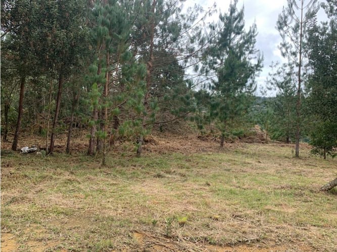 Lote en venta en El Retiro, 8945 m² · foto 2 de 7