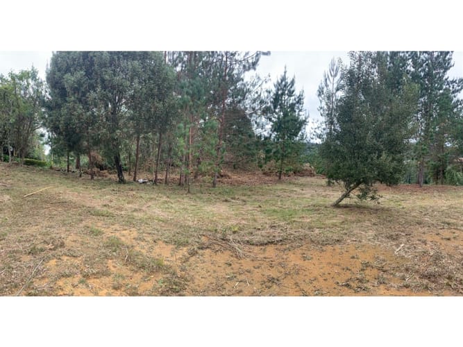 Lote en venta en El Retiro, 8945 m² · foto 3 de 7