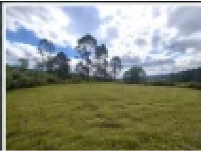 Lote en venta en La Industrial, Marinilla, 5280 m² · foto 6 de 6