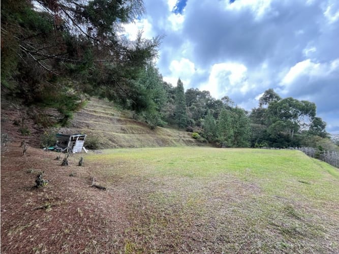 Lote en venta en Vía Las Palmas, Envigado, 4220 m² · foto 4 de 10