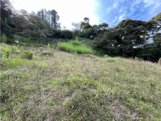 Lote en venta en Don Diego, El Retiro, 7226 m² · foto 4 de 6