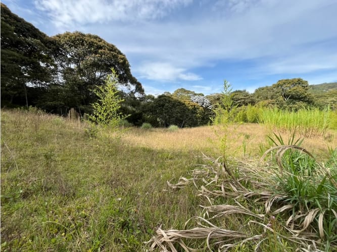 Lote en venta en Don Diego, El Retiro, 7226 m² · foto 6 de 6