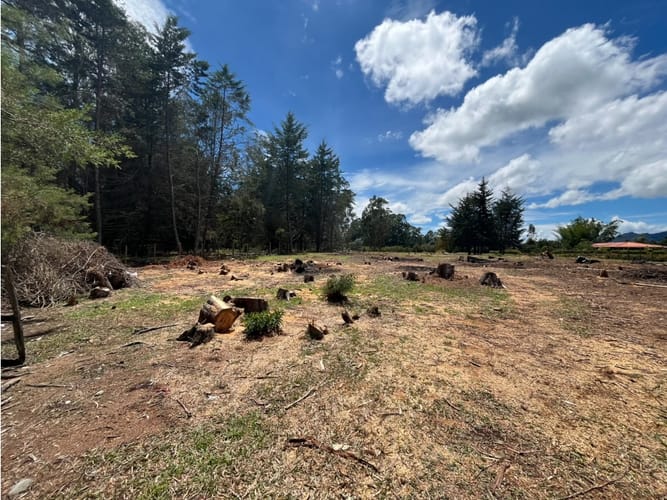 Lote en venta en Llano Grande, Rionegro, 6400 m² · foto 2 de 3