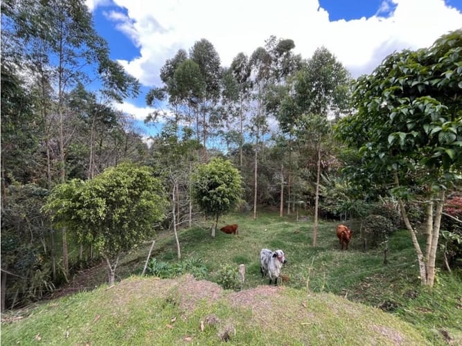 Casa de 2 alcobas en arriendo en Barro Blanco, Rionegro, 270 m² · foto 3 de 24
