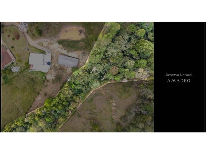 Lote en venta en Guarne, 10000 m² · foto 3 de 5