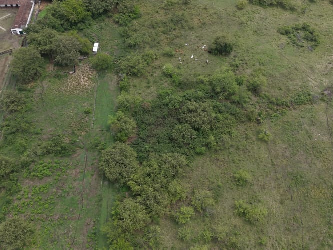 Lote en venta en Ciudad Pacífica, Cali, 60000 m² · foto 8 de 13