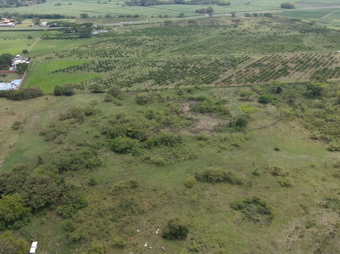 Lote en venta en Ciudad Pacífica, Cali, 60000 m² · foto 9 de 13