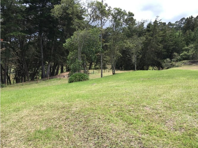 Lote en arriendo en Loreto, Medellín, 12000 m² · foto 5 de 7