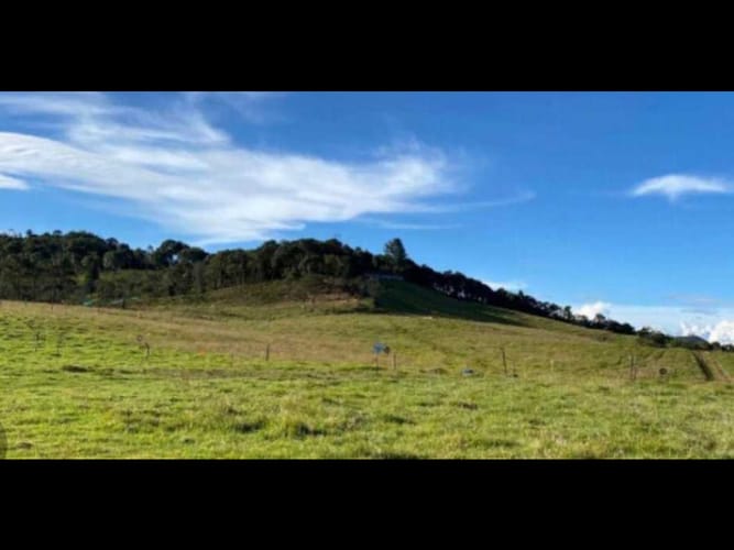 Lote en venta en Pantanillo, Envigado, 904 m² · foto 3 de 5