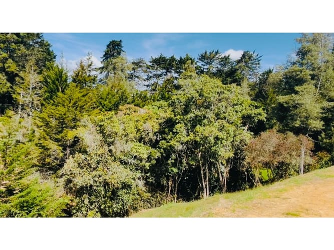 Lote en venta en Vía Las Palmas, Medellín, 2363 m² · foto 9 de 13