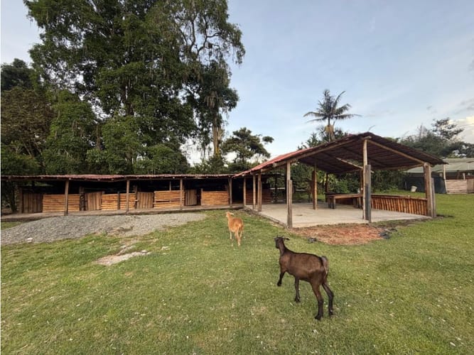 Lote en venta en Llano Grande, Rionegro, 23000 m² · foto 3 de 12