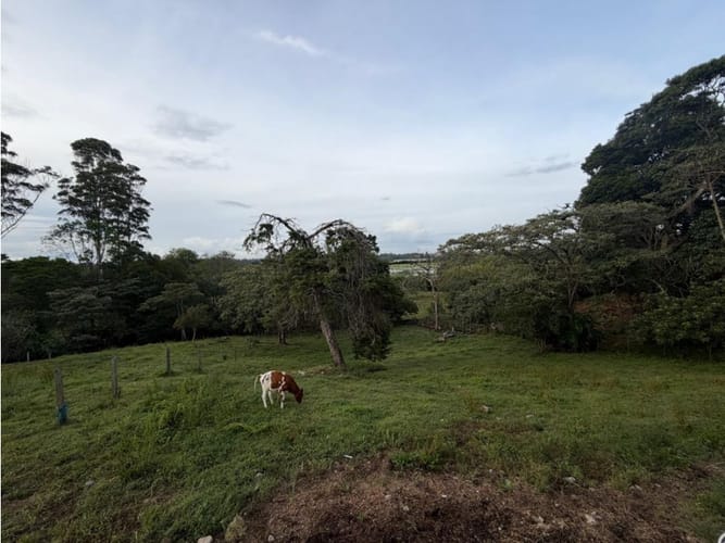 Lote en venta en Llano Grande, Rionegro, 23000 m² · foto 8 de 12