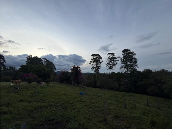 Lote en venta en Llano Grande, Rionegro, 23000 m² · foto 9 de 12