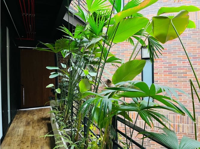 Apartamento de 1 alcoba en arriendo en El Poblado, Medellín, 69 m² · foto 11 de 12