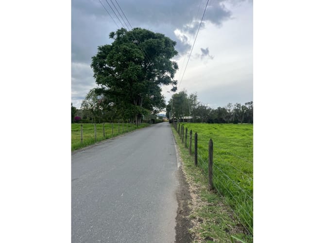 Lote en venta en Llano Grande, Rionegro, 5000 m² · foto 3 de 4