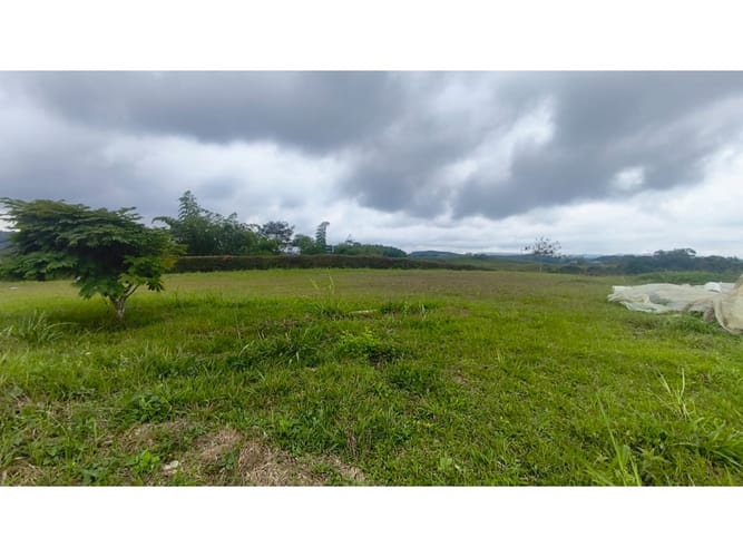 Lote en venta en Tribunas Corcega, Pereira, 2500 m² · foto 3 de 12