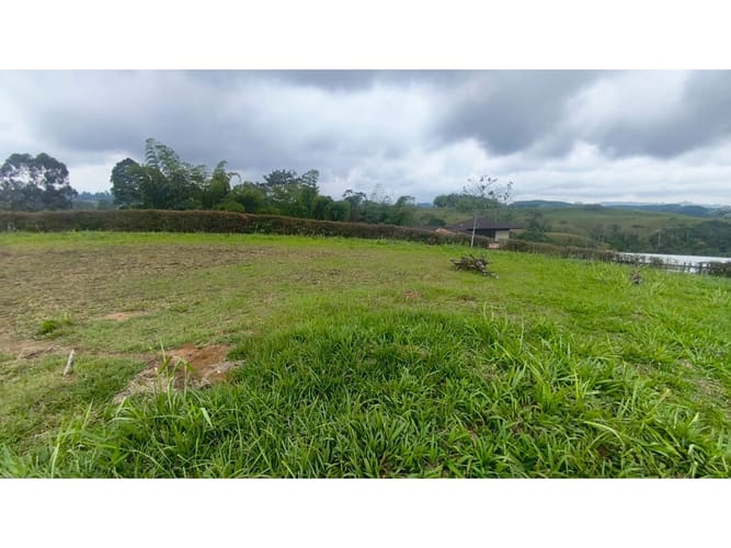 Lote en venta en Tribunas Corcega, Pereira, 2500 m² · foto 7 de 12