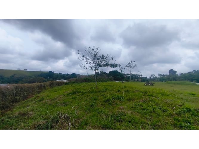 Lote en venta en Tribunas Corcega, Pereira, 2500 m² · foto 8 de 12