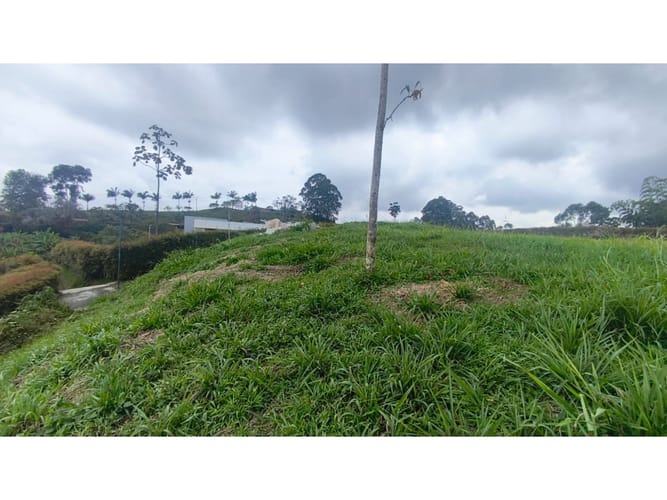 Lote en venta en Tribunas Corcega, Pereira, 2500 m² · foto 11 de 12